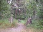 Site of ancient burial ground of the Fond du Lac Band of the Chippewa at Wisconsin Point. The burial ground was moved in 1918 to  St. Francis Cemetery in Superior, Wisconsin.
