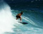 dropping in on Santa Cruz 