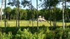 Fairview Knoll Park