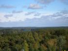 View of State Forest From "Forestside Estates"