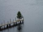 Christmas Tree on Lake Winnepsauke