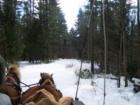 on a sleigh ride ......