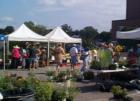 Farmer's Market in Downtown Portsmouth - runs from late spring through late fall - plants, fruits, veggies, breads, wines, teas, prepared foods, artwork, & more - all locally grown, made, prepared.