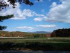 Corn Field in the Fall 