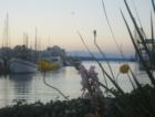 Olympia's Percival Landing