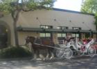 Horse Drawn Carriage Ride