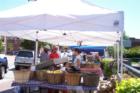 Nashua - Farmer's Market - Main Street
      (c) 2007 Joan Whitebook