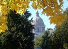 Capitol Dome in Fall