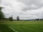 Nearby Pioneer Park