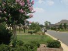 Looking down the road.