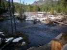 Tumalo Creek ~ early spring