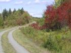 Fall Colour
      Winsloe, PEI