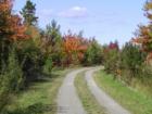 Fall Colour
      Winsloe, PEI