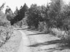 Country Road B&W
      Winsloe, PEI