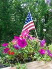 ASHEVILLE, N.C. Flowers Celebrate the Fourth of July. The red, the white, the blue...and a little bit o' GREEN.