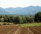 ASHEVILLE, N.C. Pastoral Image. Possibly organic crops will grace this field.
