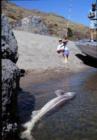 Catching a Big Sturgeon @ Kirby Creek Hells Canyon...Did I say the fishing was good?!