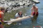 My Nephew & friends, fishing Hells Canyon...