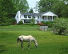 Horse country around Fort Knox