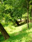 Millport Conservancy environmental area - nature walk along Lititz Run creek.