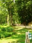Millport Conservancy environmental area - nature walk along Lititz Run creek.