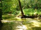 Millport Conservancy environmental area - nature walk along Lititz Run creek.