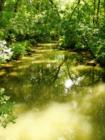 Millport Conservancy environmental area - nature walk along Lititz Run creek.