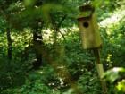 Millport Conservancy environmental area - nature walk along Lititz Run creek.
