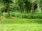 Millport Conservancy environmental area - nature walk along Lititz Run creek.