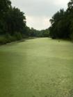 Millport Conservancy environmental area - nature walk along Lititz Run creek.