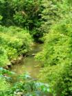 Millport Conservancy environmental area - nature walk along Lititz Run creek.