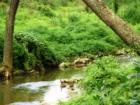 Millport Conservancy environmental area - nature walk along Lititz Run creek.