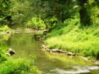 Millport Conservancy environmental area - nature walk along Lititz Run creek.