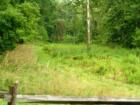 Millport Conservancy environmental area - nature walk along Lititz Run creek.