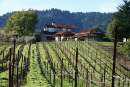 Felton Winery on Upper Zayante
