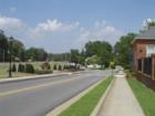 Buford- The Tanner and the Artist Colony! Teresa Johnson and Associates; REMAX Greater Atlanta; ww.AtlantaHomeStore.com; 770-888-0021