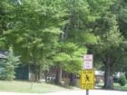 Buford- The Tanner and the Artist Colony! Teresa Johnson and Associates; REMAX Greater Atlanta; ww.AtlantaHomeStore.com; 770-888-0021