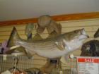 The Dam Store (Buford Dam) in Buford, Georgia! Teresa Johnson and Associates; REMAX Greater Atlanta; ww.AtlantaHomeStore.com; 770-888-0021