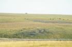 Red Deer is a medium sized town between the powerhouses of Edmonton and Calgary. It has miles and miles of beautiful farmland.