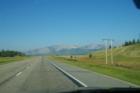 On the road to Banff.