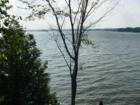 Moira Lake -East shore