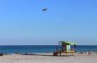 Ultralight Flying Low in South Beach
