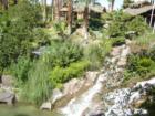 Tropicana Las Vegas