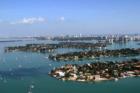 Palm, Hibiscus and the Venetian Islands