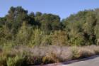 Oak Canyon Nature Center