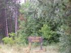 The General Andrews State Forest, along Highway 61 in Sturgeon Lake, Minnesota