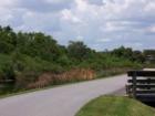 Berm in Pelican Bay that takes you through mangrove forest to the beaches at Pelican Bay.