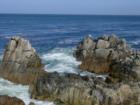 Monterey