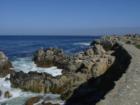 Monterey
