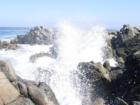 Monterey